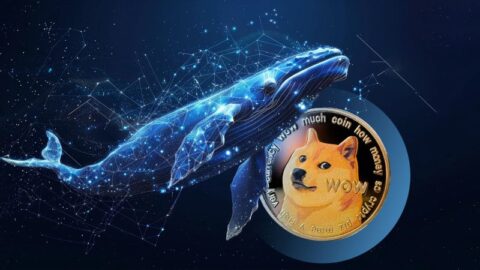 افزایش فروش دوج کوین توسط نهنگ‌ ها؛ سیگنالی برای سقوط احتمالی قیمت؟