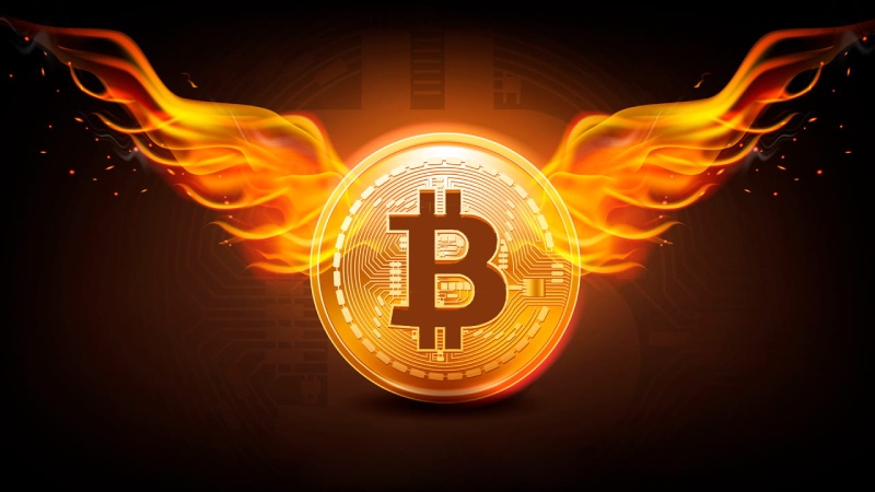 بیت کوین در اوج تاریخ؛ ثبت رکورد قیمتی جدید در بازار صعودی مه ۲۰۲۵