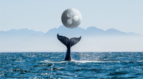 نگاهی به روند افزایشی انباشت توکن XRP توسط نهنگ‌ ها