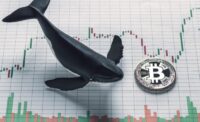تحرکات نهنگ‌ ها در بازار بیت کوین؛ ورود سنگین به بایننس و احتمال نوسانات شدید
