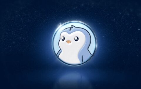 رشد چشمگیر توکن پنگو (PENGU)؛ دلایل پشت پرده چیست؟