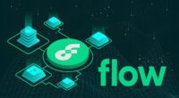 فلو چیست؟ آشنایی با Flow و کاربرد آن در دنیای NFT‌ ها