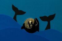 نقش تأثیرگذار نهنگ‌ های صرافی بایننس در ثبت رکورد تاریخی بیت‌ کوین