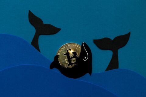 نقش تأثیرگذار نهنگ‌ های صرافی بایننس در ثبت رکورد تاریخی بیت‌ کوین