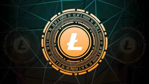 رکورد جدید قیمت لایت کوین؛ رسیدن به بالاترین سطح در پنج ماه گذشته