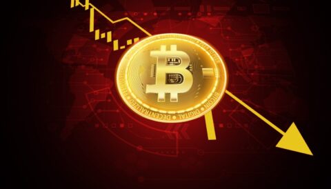 افت قیمت بیت کوین به زیر ۱۱۶ هزار دلار؛ ریزش سنگین آلت کوین ها در بازار کریپتو