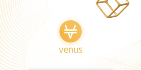 توقف موقت پلتفرم ونوس پس از حمله فیشینگ گسترده