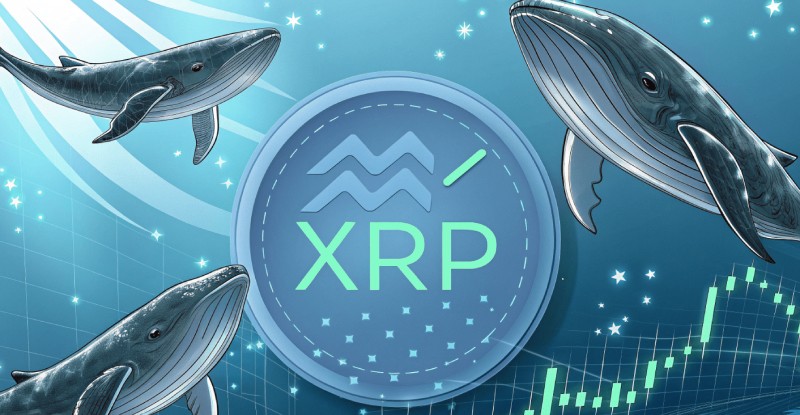 شکستن مقاومت ۳ دلاری توسط ریپل؛ بازگشت نهنگ‌ ها به بازار