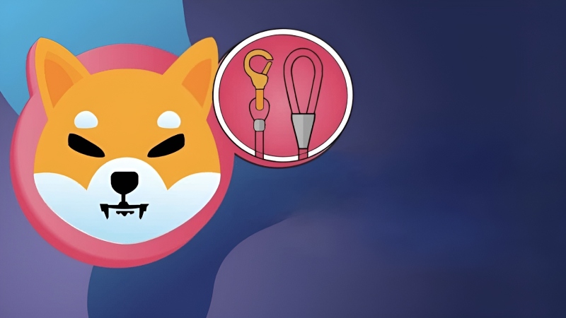 شیبا اینو جزئیات آپدیت توکن LEASH را منتشر کرد