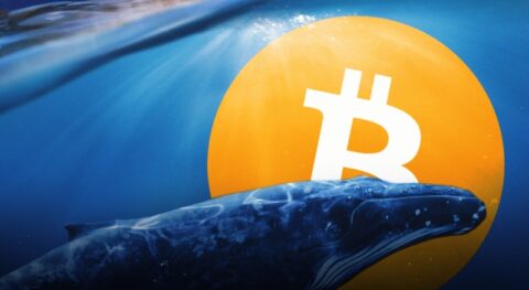 هشدار برای بازار بیت کوین: فروش ناگهانی نهنگ‌ ها و احتمال اصلاح عمیق قیمت