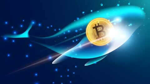 بازگشت بیت‌ کوین‌ های خفته: تحرک تاریخی ارز دیجیتال در سال ۲۰۲۵