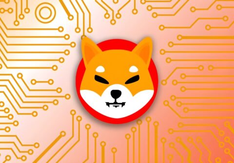 افت شیبا اینو همزمان با افزایش نرخ سوزاندن؛ آیا بهبود قیمت در راه است؟