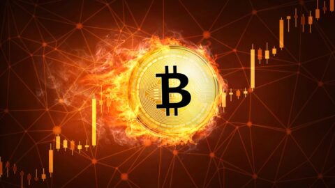 سقوط اخیر بیت کوین از نگاه مدیر عامل کوین بیس