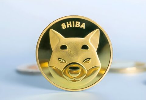 شیبا اینو همچنان نزولی؛ تحلیل کاهش عرضه و افزایش نرخ سوزاندن