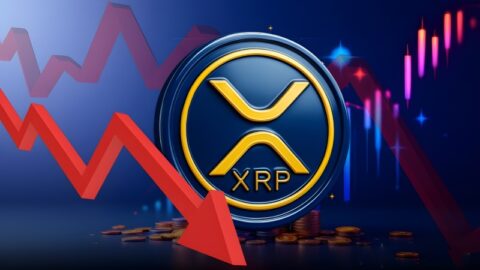 سقوط شدید قیمت ریپل و ترس گسترده بازار ارز دیجیتال