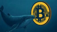 افت قیمت بیت کوین نهنگ ها را به خرید واداشت؛ افزایش ذخایر هولدرهای بزرگ BTC در بازار