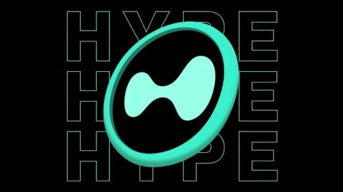 نبرد نهنگ ها و خریداران خرد در Hyperliquid (HYPE)