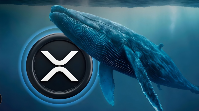 خروج 231 میلیون XRP از بایننس؛ آیا نهنگ ها در مسیر رساندن ریپل به 2 دلار هستند؟